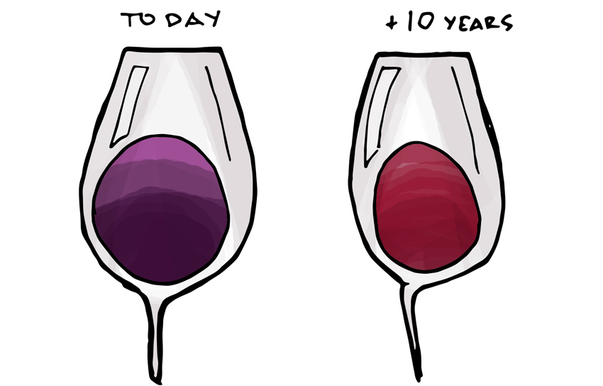 红酒年份葡萄酒年份葡萄酒杯葡萄酒观色葡萄酒颜色12.jpg