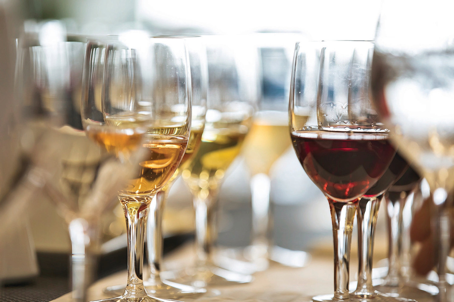 白葡萄酒和红葡萄酒的区别奔富葡萄酒1.jpg