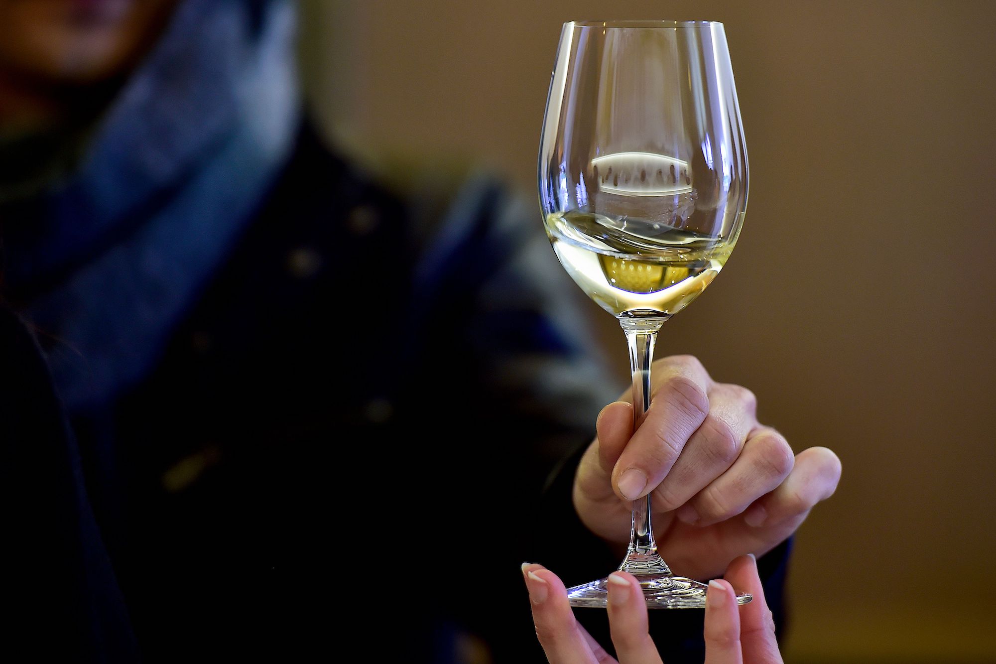 白葡萄酒和红葡萄酒的区别奔富葡萄酒10.jpg