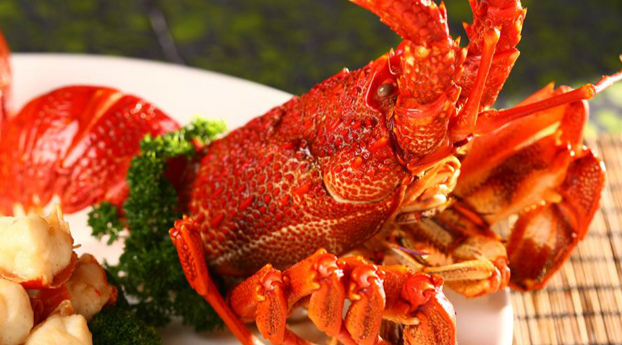 澳洲龙虾，为什么价格比波士顿龙虾贵？