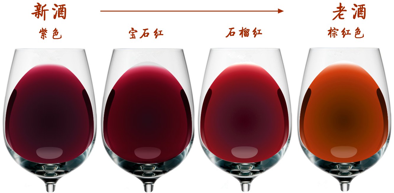 红酒年份葡萄酒年份葡萄酒杯葡萄酒观色葡萄酒颜色11.jpg