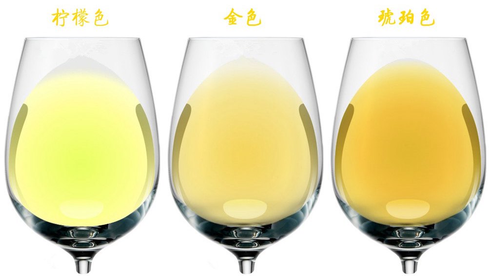 红酒年份葡萄酒年份葡萄酒杯葡萄酒观色葡萄酒颜色13.jpg