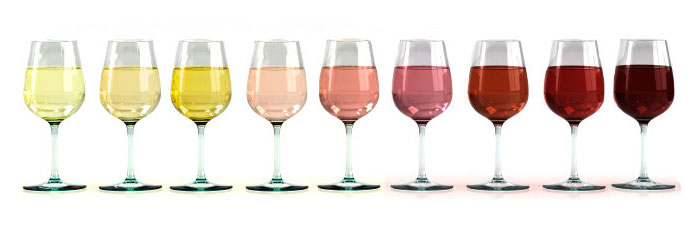 红酒年份葡萄酒年份葡萄酒杯葡萄酒观色葡萄酒颜色17.jpg