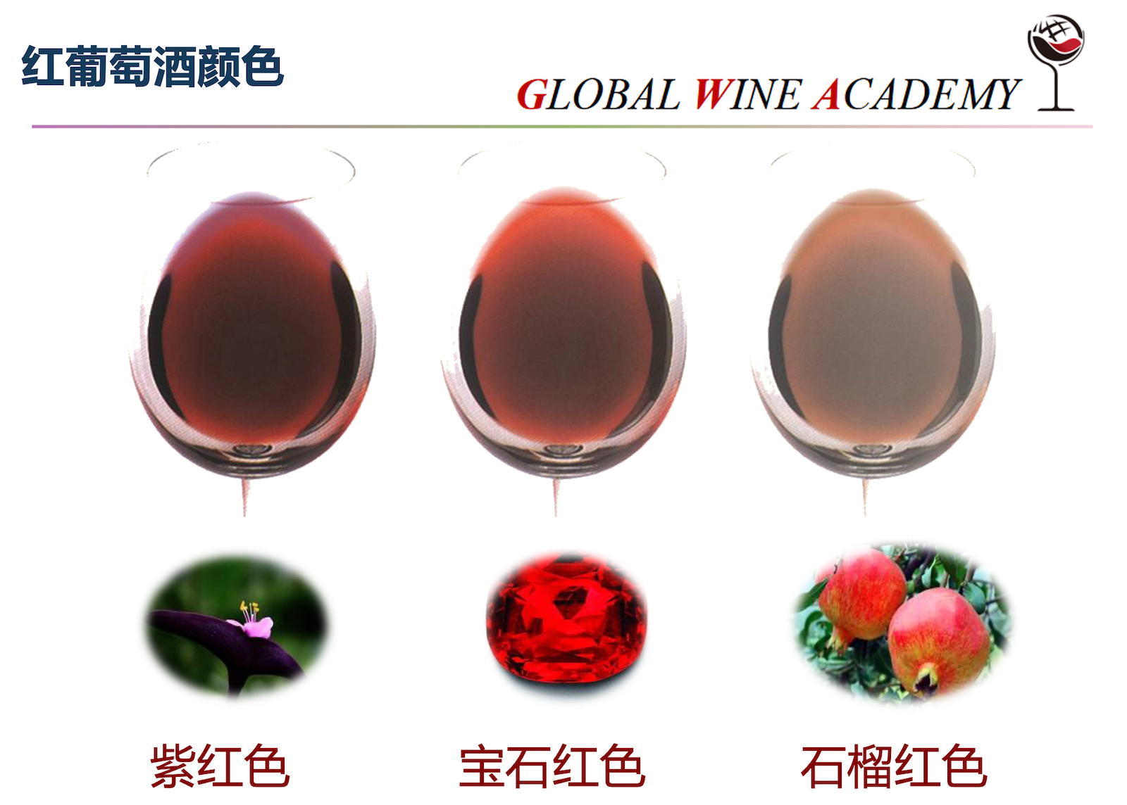 红葡萄酒杯赤霞珠干红葡萄酒的功效与作用4.jpg